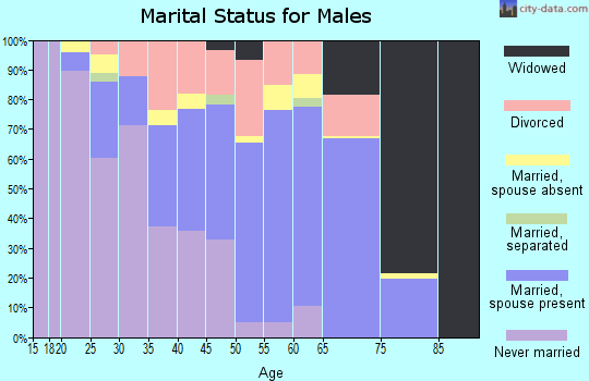 Zip code 85941 marital status for males