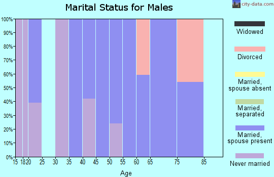 Zip code 86018 marital status for males
