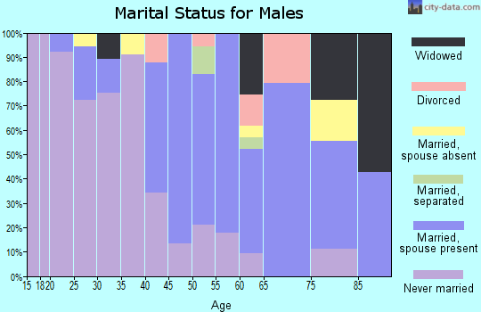 Zip code 86020 marital status for males