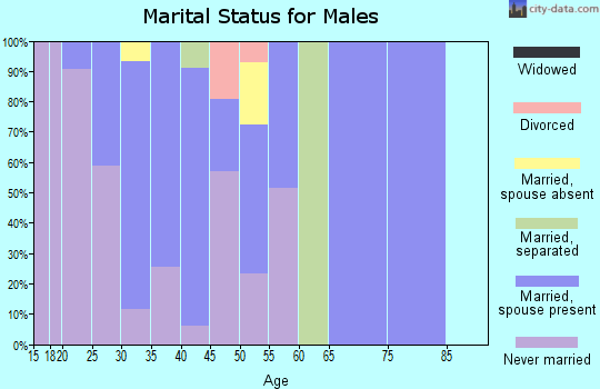 Zip code 86021 marital status for males