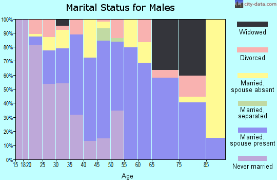 Zip code 86025 marital status for males