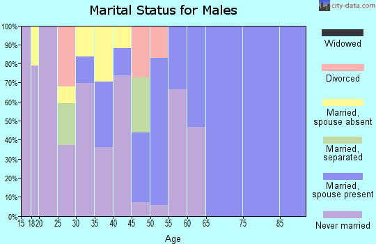 Zip code 86030 marital status for males