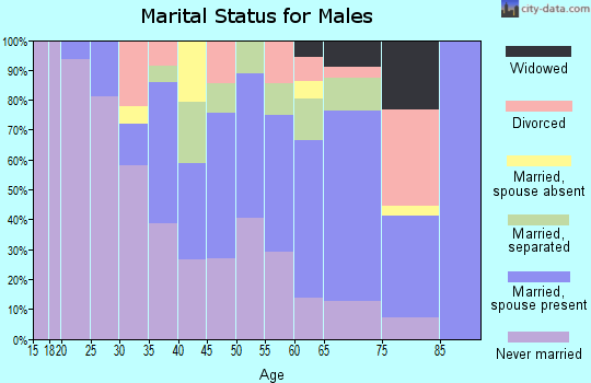 Zip code 86031 marital status for males