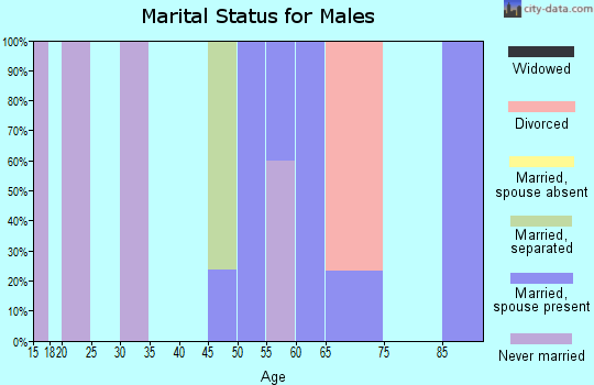 Zip code 86036 marital status for males