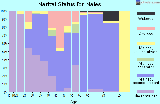 Zip code 86040 marital status for males