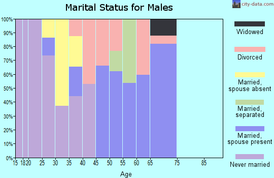 Zip code 86042 marital status for males
