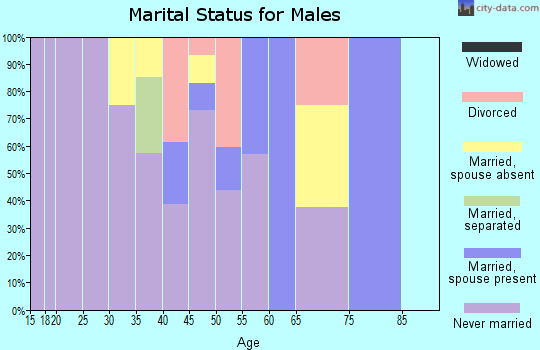 Zip code 86043 marital status for males