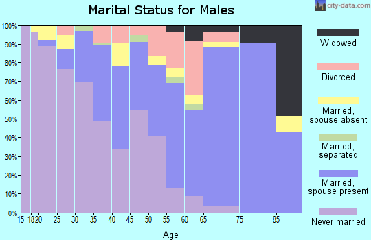 Zip code 86045 marital status for males