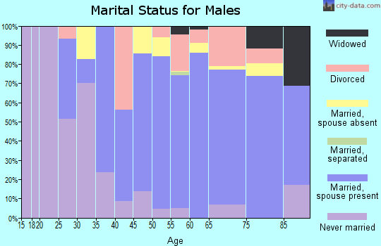 Zip code 86046 marital status for males