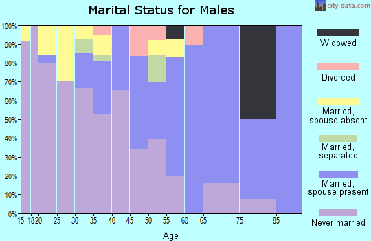 Zip code 86054 marital status for males
