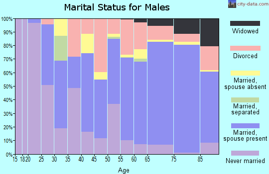 Zip code 86303 marital status for males