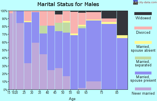 Zip code 86305 marital status for males