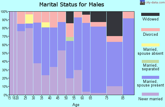 Zip code 86322 marital status for males