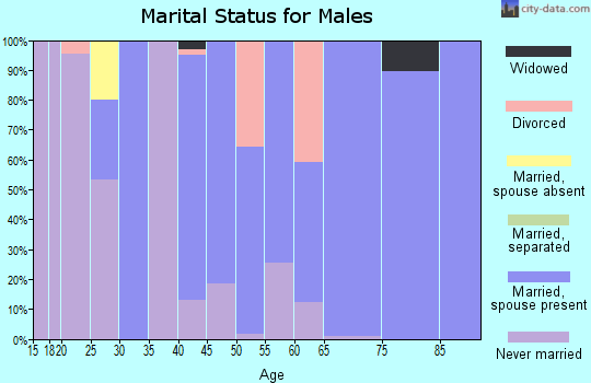 Zip code 86324 marital status for males