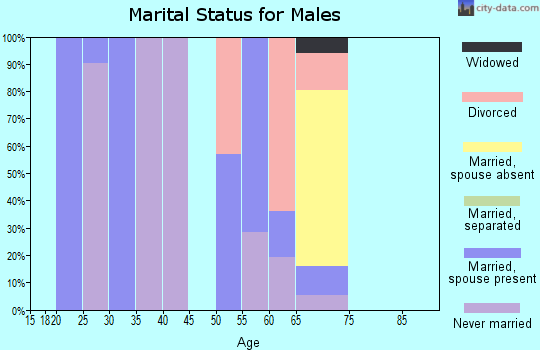 Zip code 86331 marital status for males