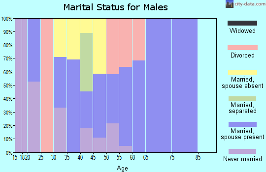 Zip code 86334 marital status for males