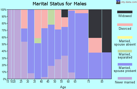 Zip code 86335 marital status for males