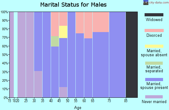 Zip code 86337 marital status for males