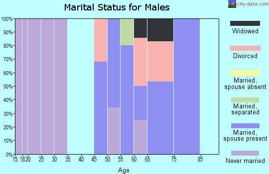 Zip code 86338 marital status for males