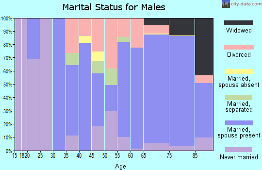 Zip code 86351 marital status for males