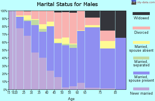Zip code 86401 marital status for males
