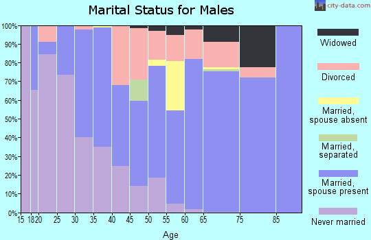 Zip code 86404 marital status for males