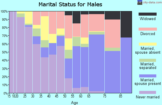 Zip code 86413 marital status for males