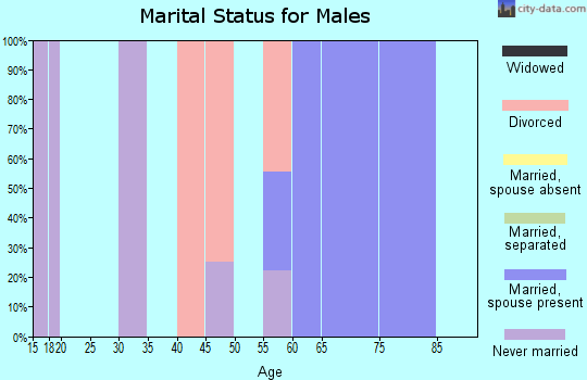 Zip code 86437 marital status for males