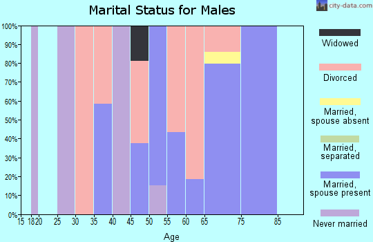 Zip code 86438 marital status for males