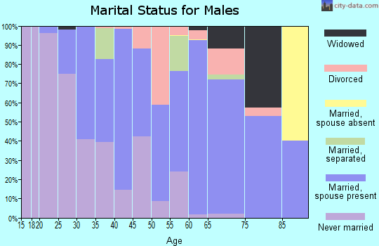 Zip code 86440 marital status for males