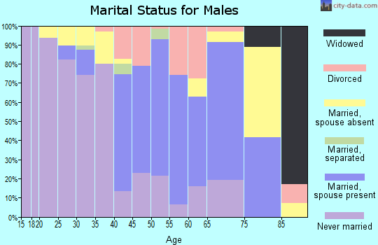 Zip code 86504 marital status for males