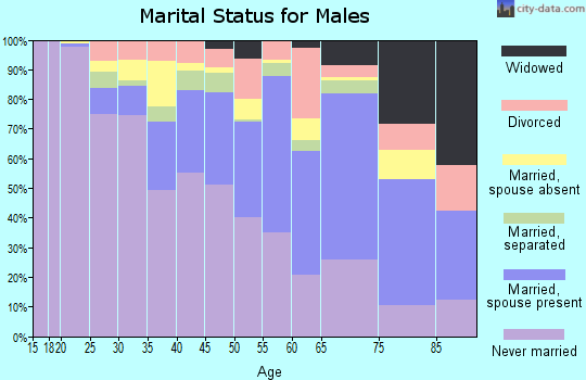 Zip code 86505 marital status for males
