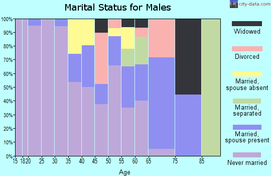 Zip code 86506 marital status for males
