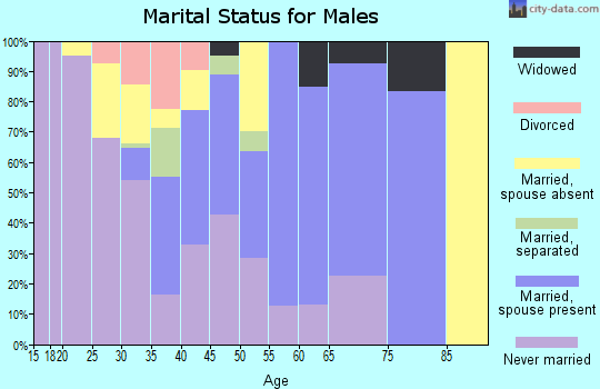 Zip code 86507 marital status for males