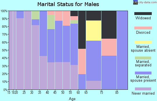 Zip code 86508 marital status for males