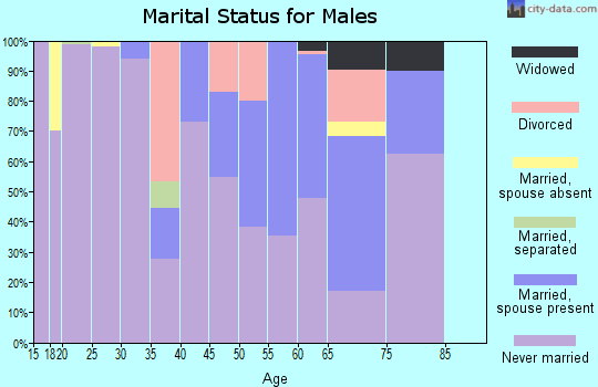 Zip code 86511 marital status for males