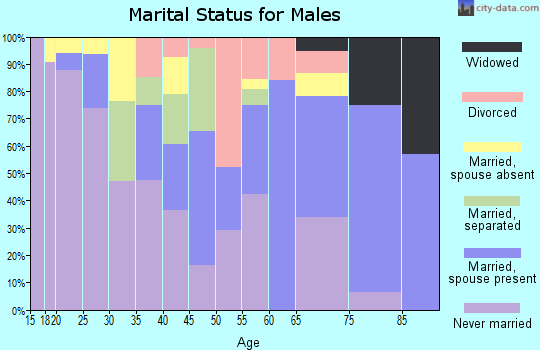 Zip code 86520 marital status for males