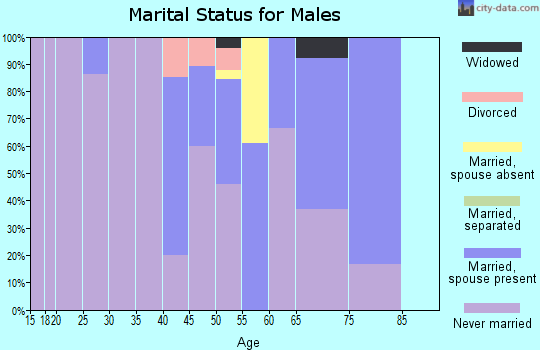 Zip code 86535 marital status for males
