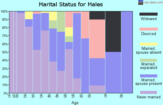 Zip code 86538 marital status for males