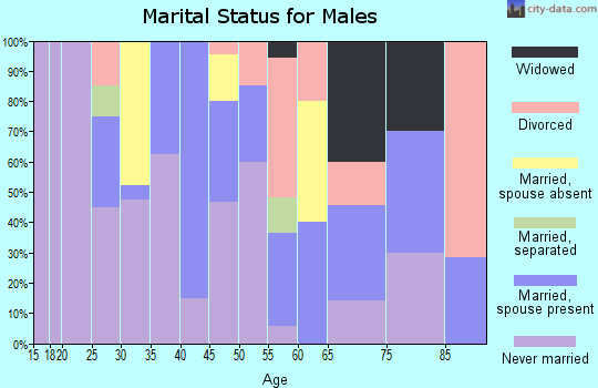 Zip code 86540 marital status for males