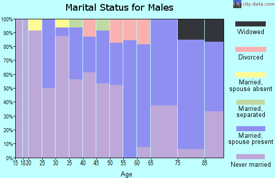 Zip code 86544 marital status for males