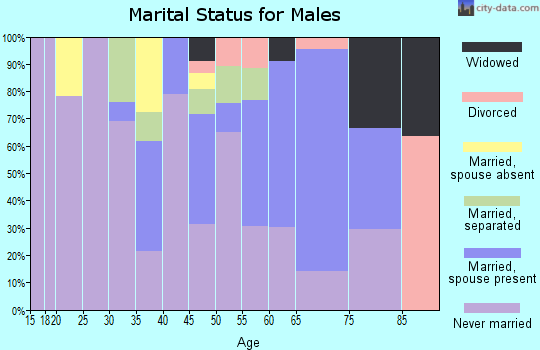 Zip code 86545 marital status for males