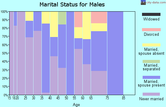 Zip code 86547 marital status for males