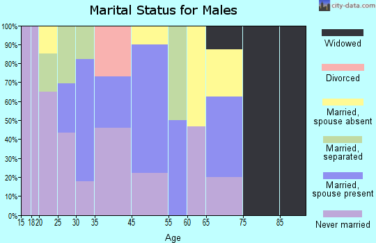 Zip code 86549 marital status for males