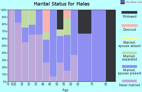 Zip code 86556 marital status for males