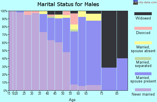 Zip code 87001 marital status for males