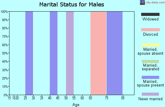 Zip code 87005 marital status for males