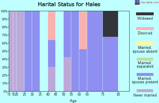 Zip code 87006 marital status for males