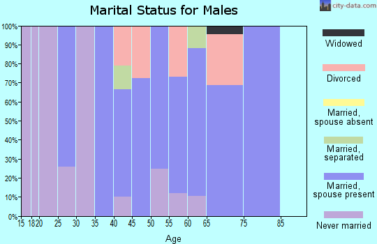 Zip code 87008 marital status for males