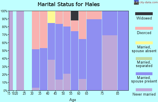 Zip code 87025 marital status for males